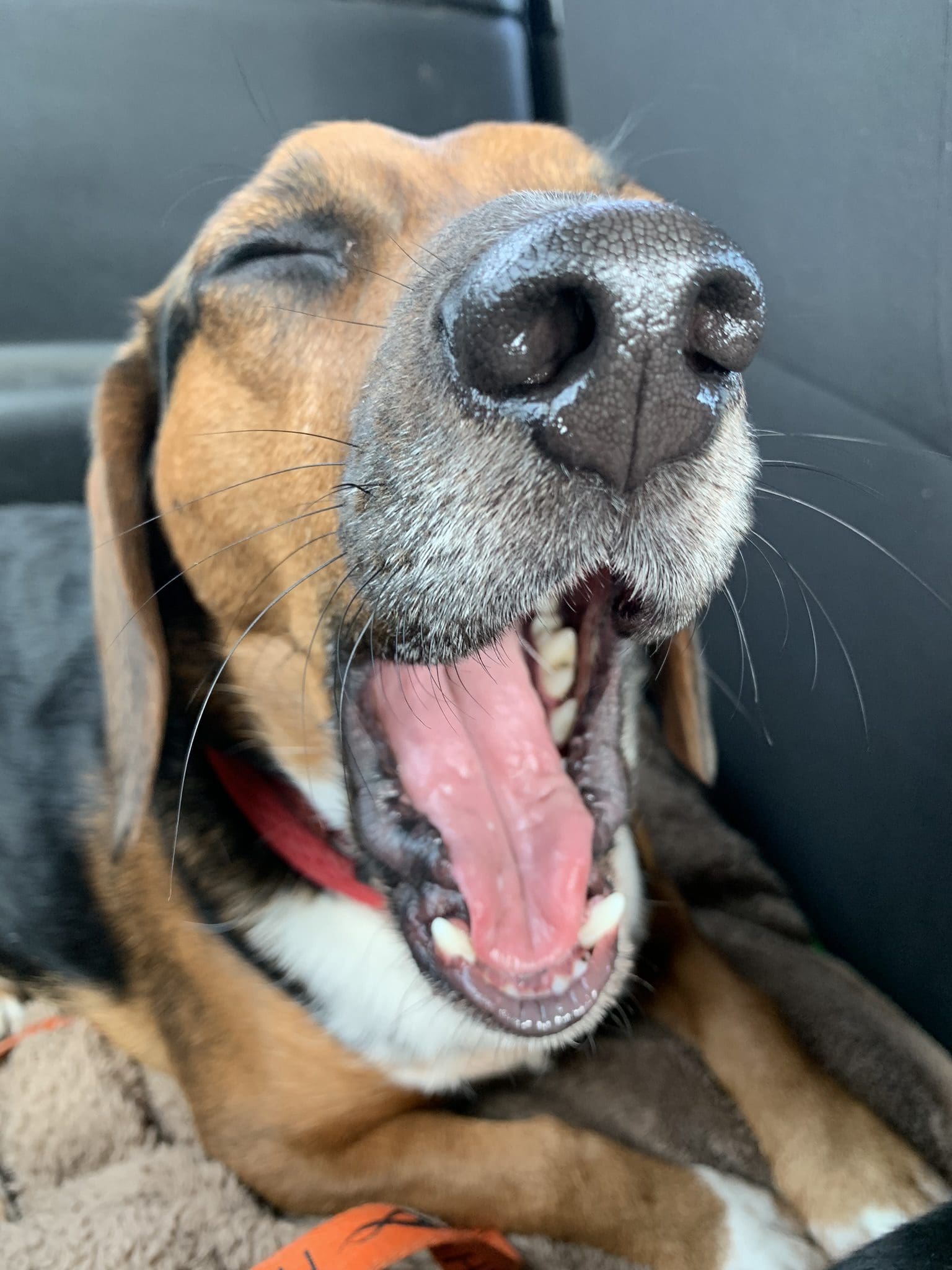 OML Embroidery Learn.Stitch.Smile. FREE Embroidery Education for